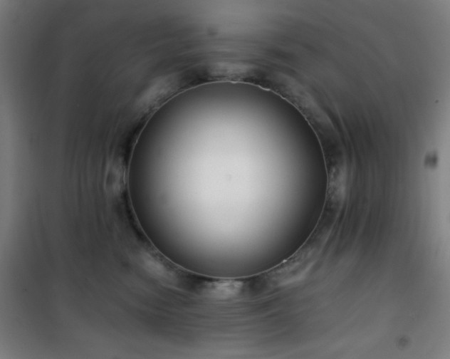 X0000101650474200807101235