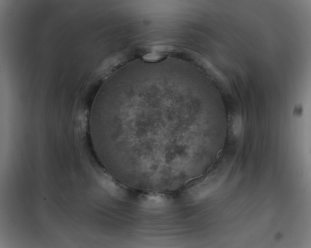 X0000101650475200807101235