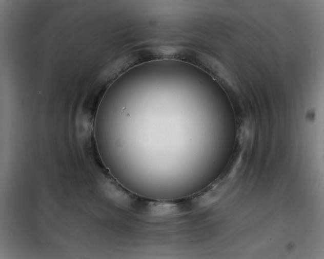 X0000101650476200807101235