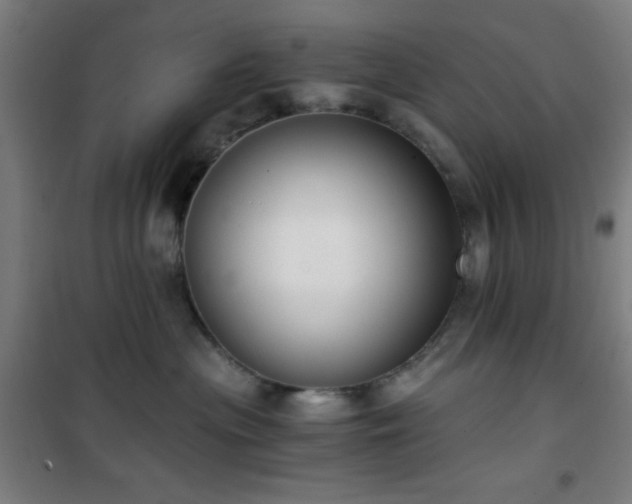 X0000101650477200807101235