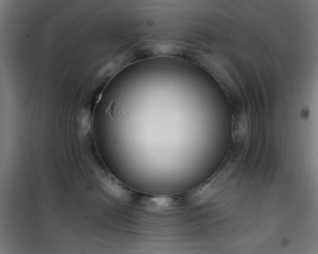 X0000101650478200807101236