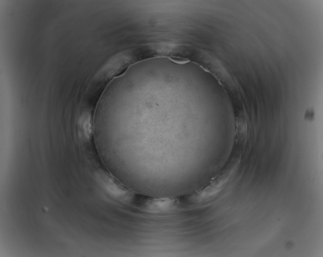 X0000101650479200807101236