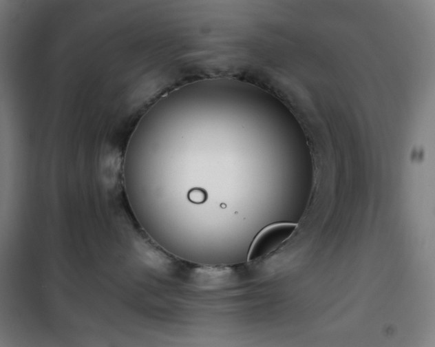 X0000101650480200807101236