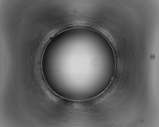 X0000101650481200807101235