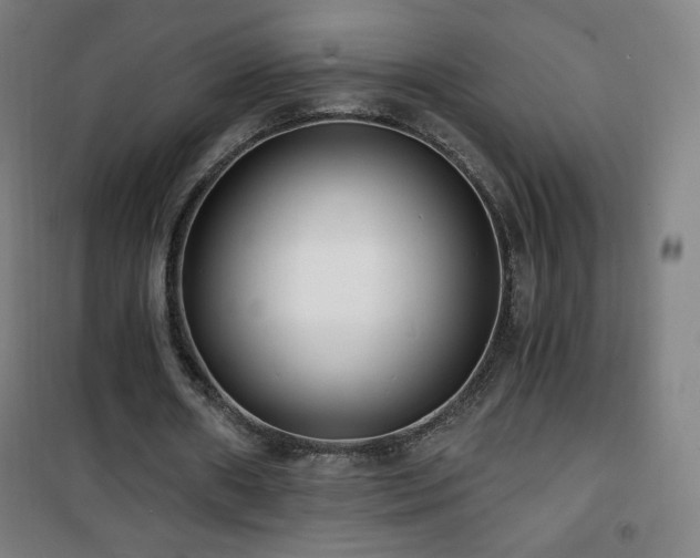 X0000101650482200807101235