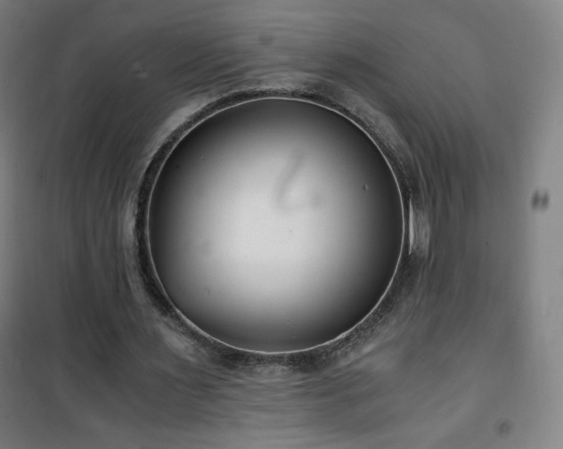 X0000101650483200807101235