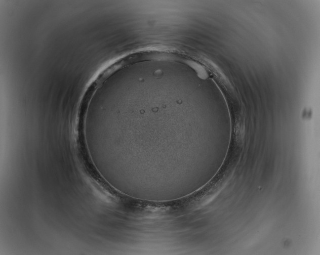 X0000101650484200807101235