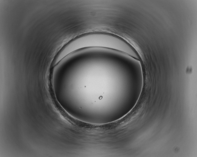 X0000101650485200807101235