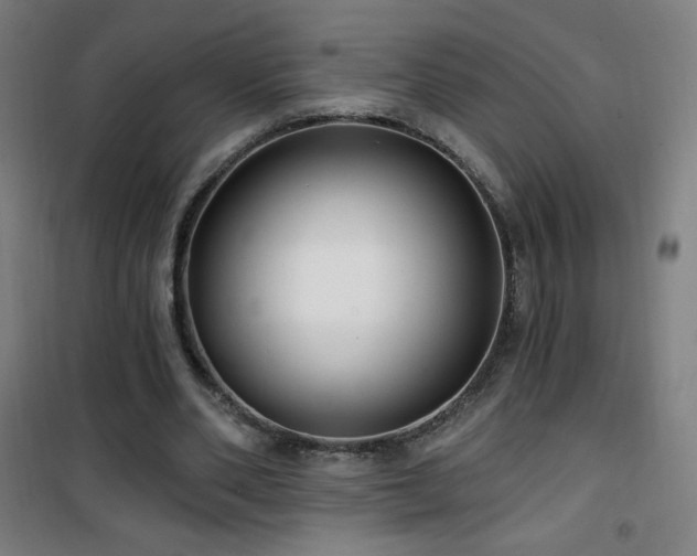 X0000101650486200807101235