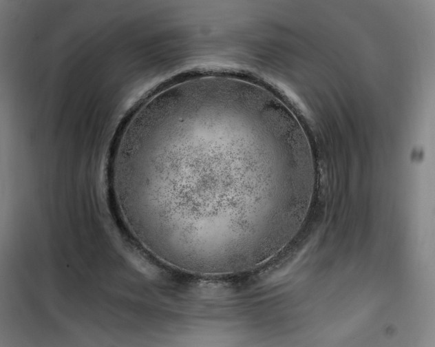 X0000101650487200807101235