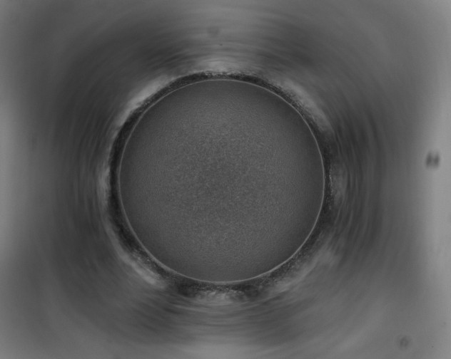 X0000101650488200807101235