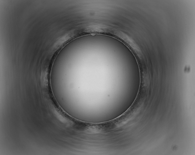 X0000101650489200807101235