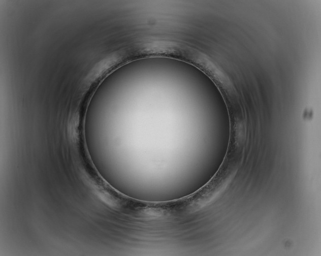 X0000101650490200807101235