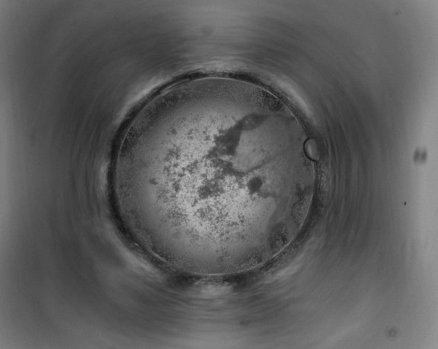 X0000101650491200807101235