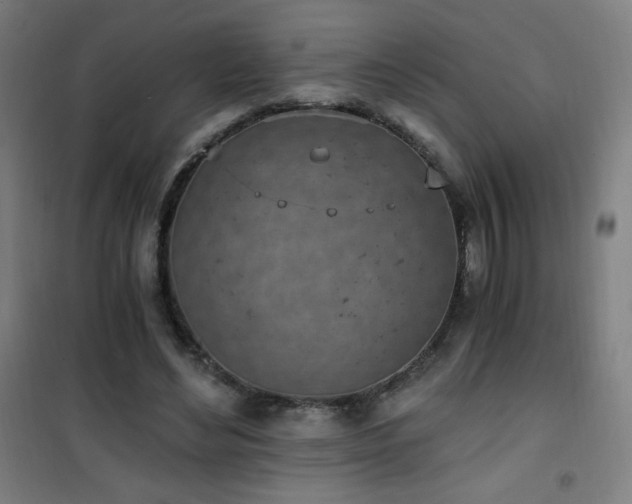 X0000101650492200807101235