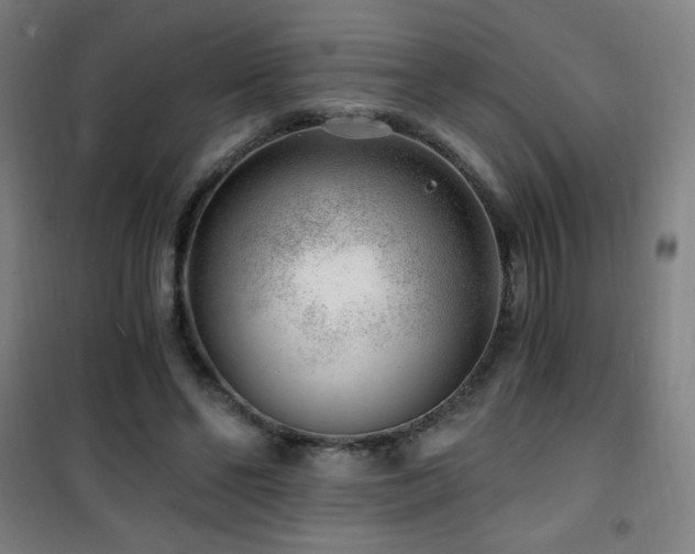 X0000101650494200807101235