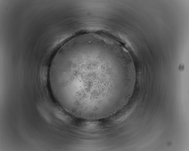 X0000101650495200807101235