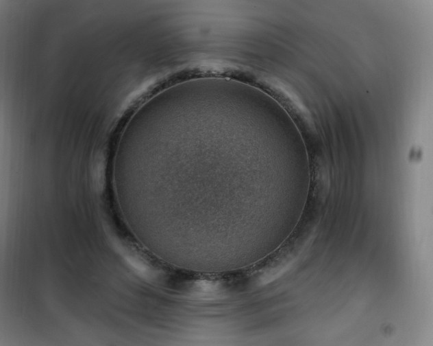 X0000101650496200807101235