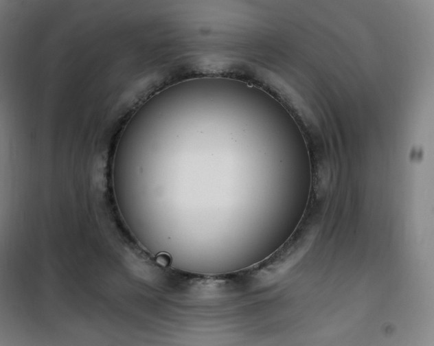 X0000101650497200807101235