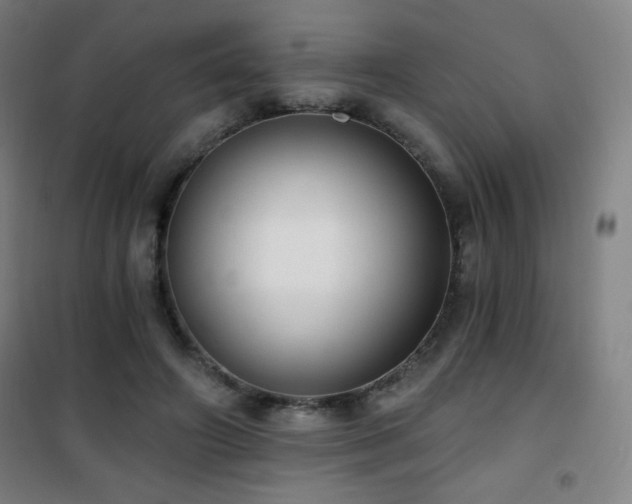 X0000101650498200807101235