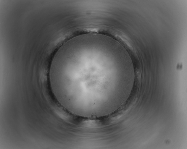 X0000101650499200807101235