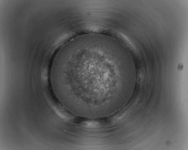 X0000101650500200807101235