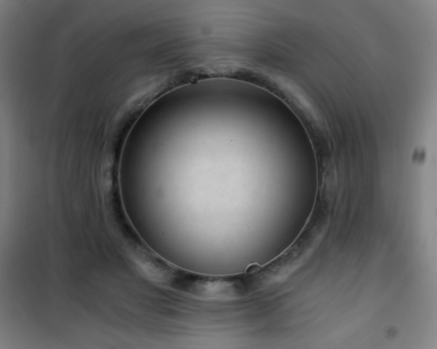 X0000101650501200807101235