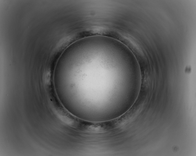 X0000101650502200807101234