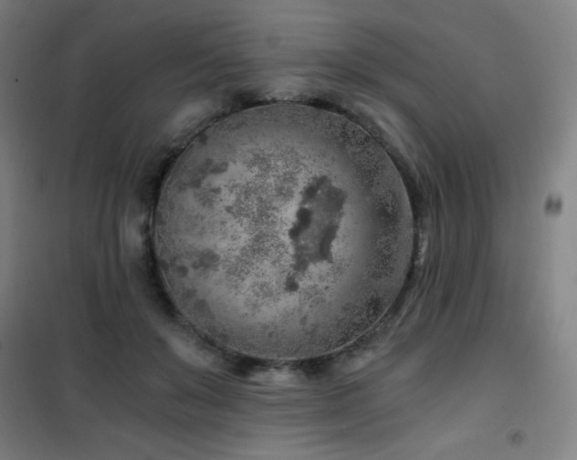 X0000101650503200807101234