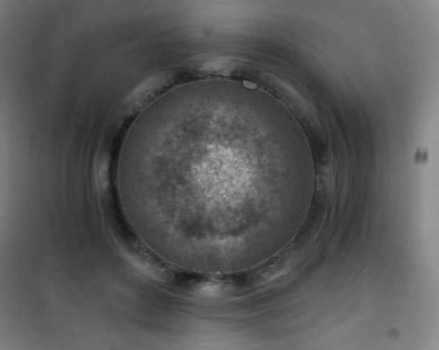 X0000101650504200807101234