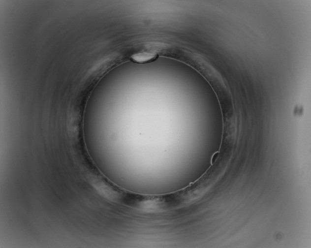 X0000101650505200807101234