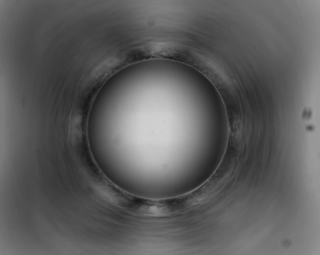 X0000101650506200807101234