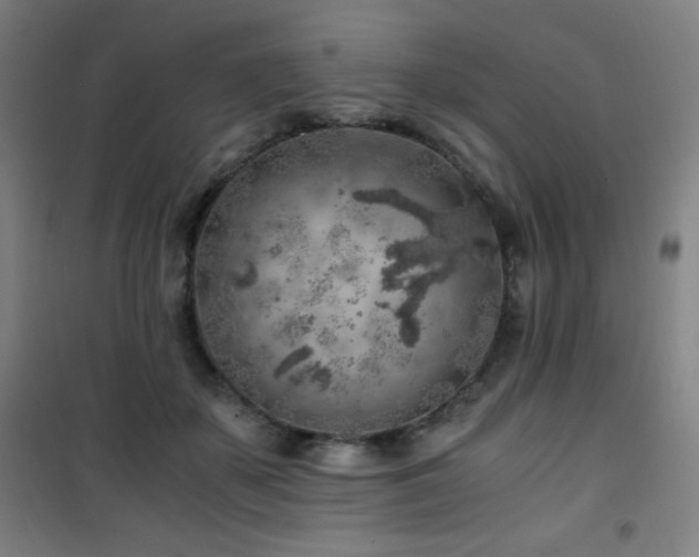 X0000101650507200807101234