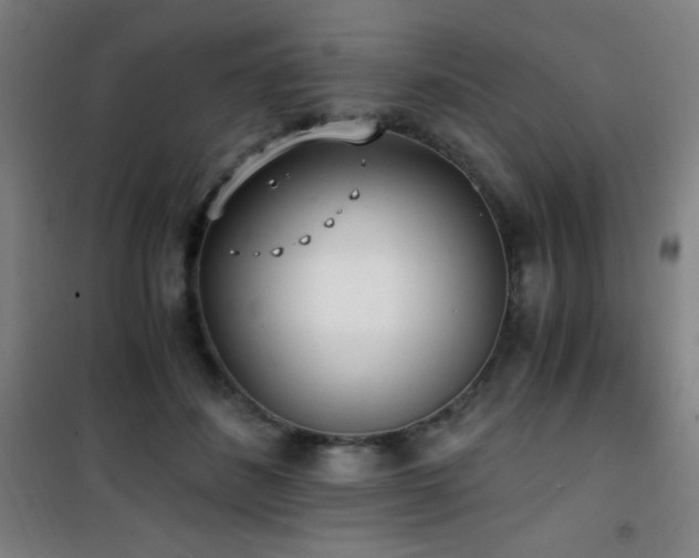 X0000101650508200807101234