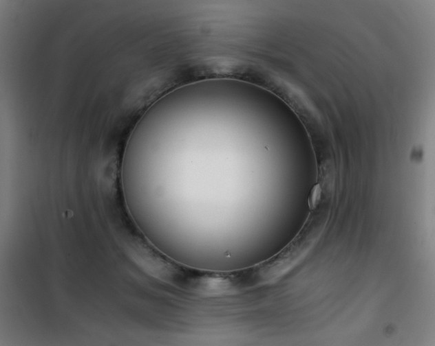 X0000101650509200807101234