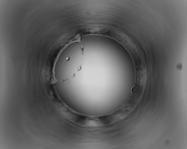 X0000101650510200807101234