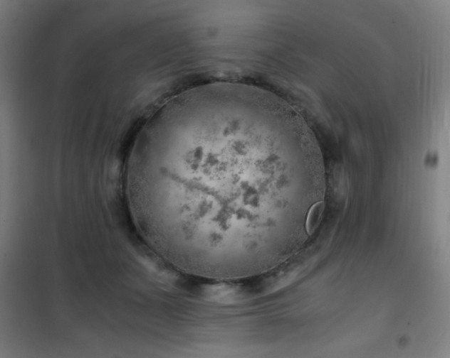 X0000101650511200807101234