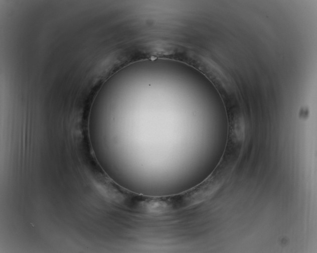 X0000101650512200807101234