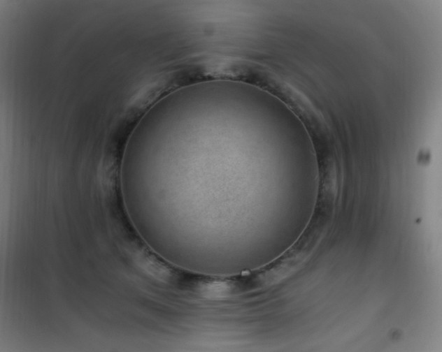 X0000101650513200807101234