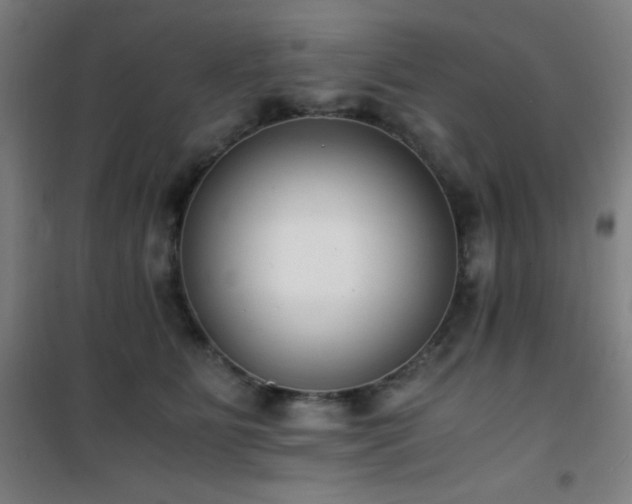 X0000101650515200807101234