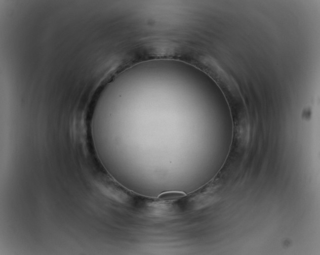 X0000101650516200807101234