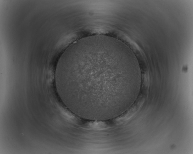 X0000101650517200807101234