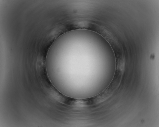 X0000101650518200807101234