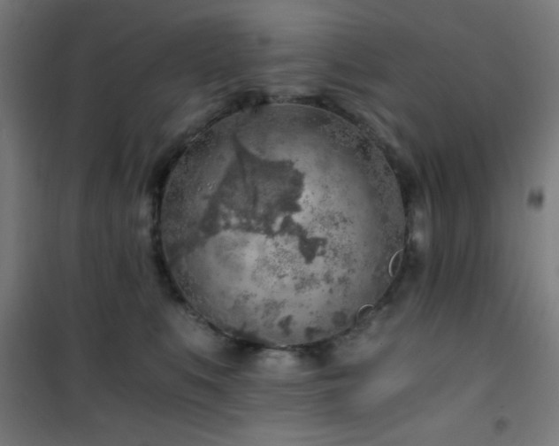 X0000101650519200807101234