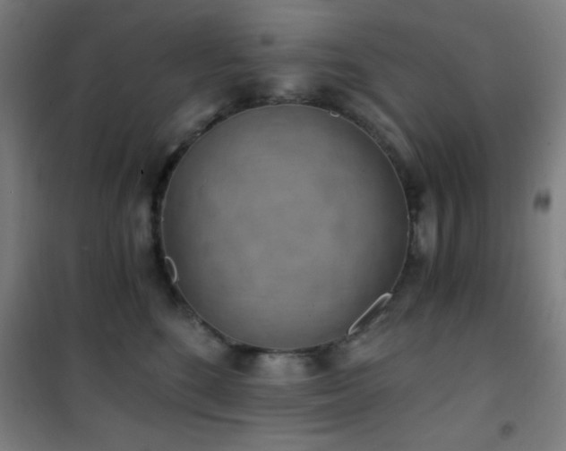 X0000101650520200807101234