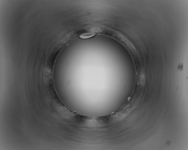 X0000101650521200807101234