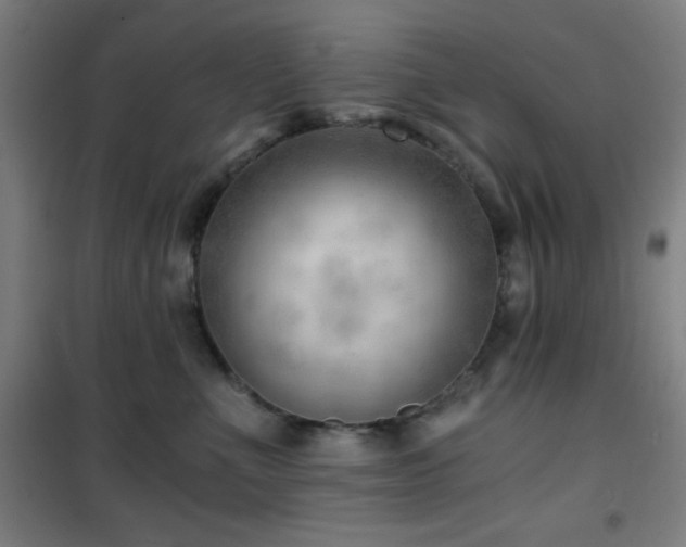 X0000101650523200807101234