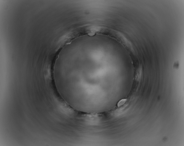 X0000101650524200807101234