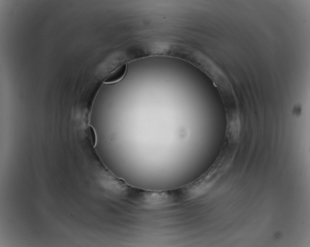 X0000101650525200807101234