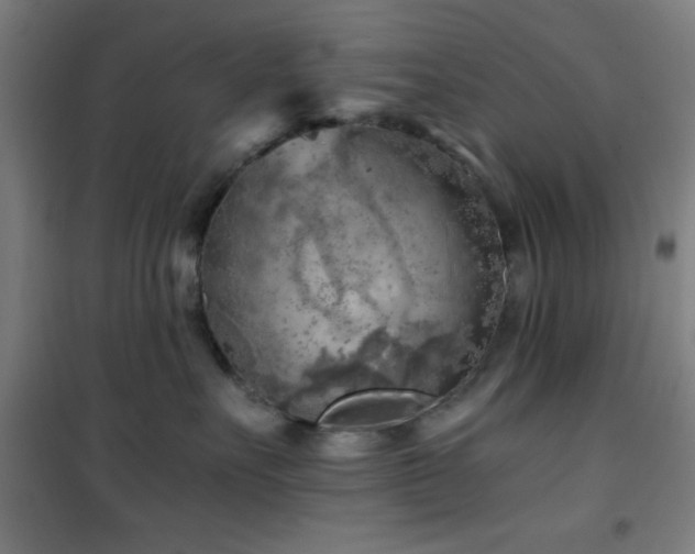 X0000101650527200807101234